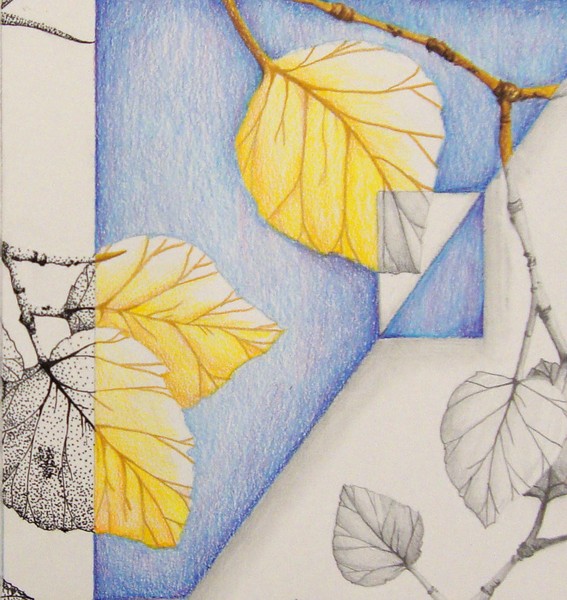 Aspen leafs