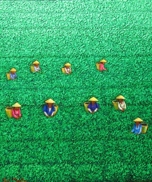 Harvest 5
