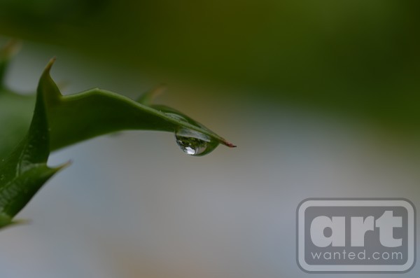 Tear Drop