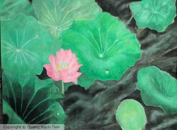 Lotus