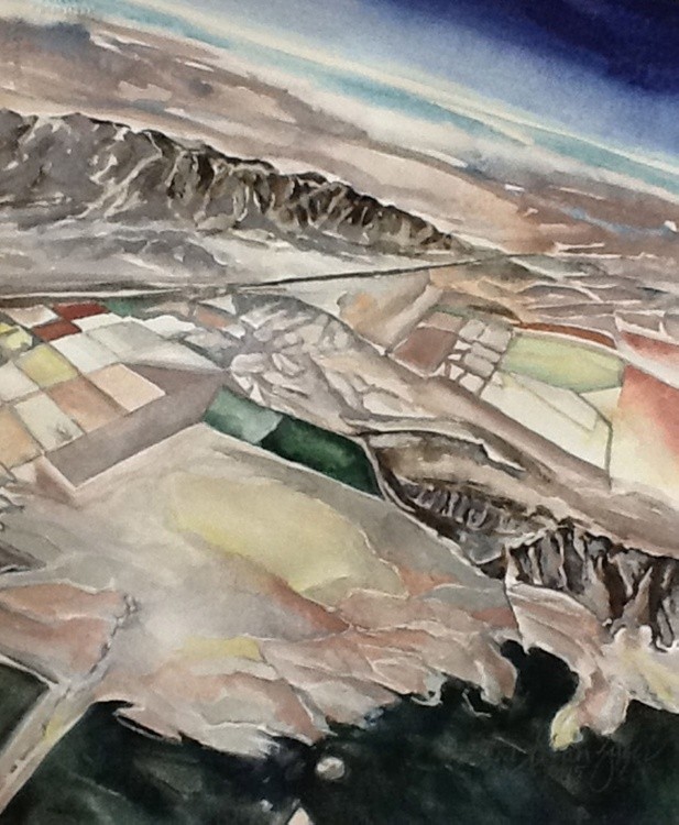 Aerial Contours # 9