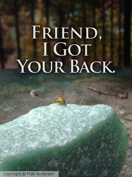 Friend I Got Your Back