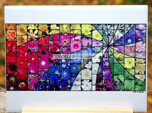 Garden Swirl Mosaic Ceramic Tile