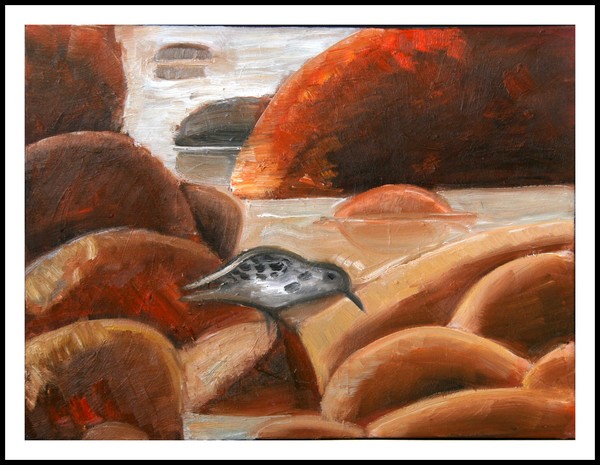 Bird