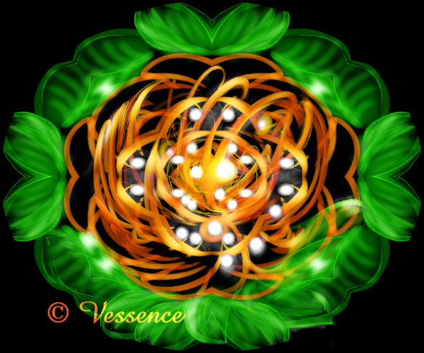 Orangy Vision 
