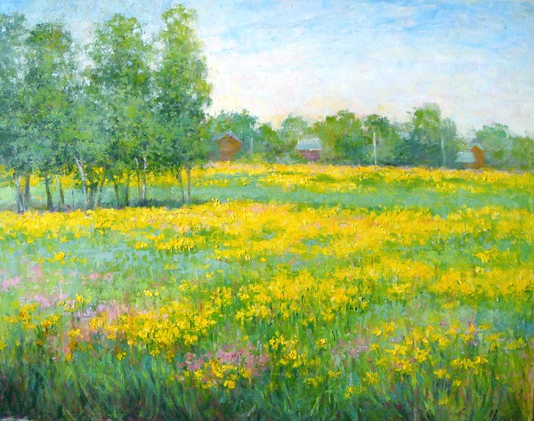 Yellow field
