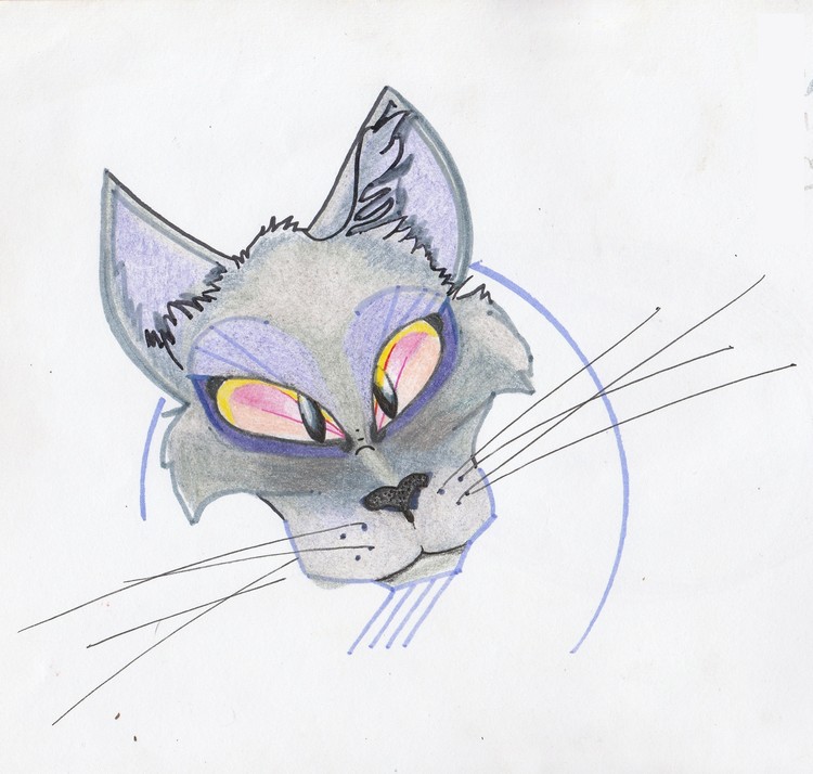 Cat Face