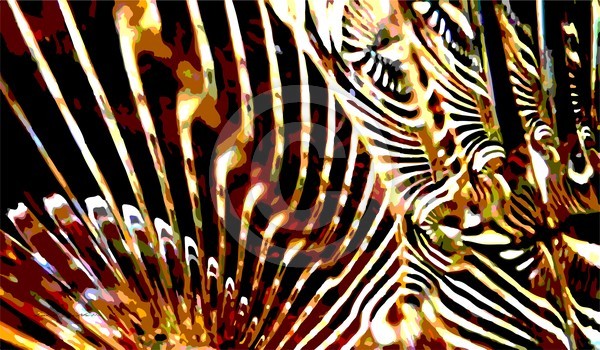 Bling No. 31