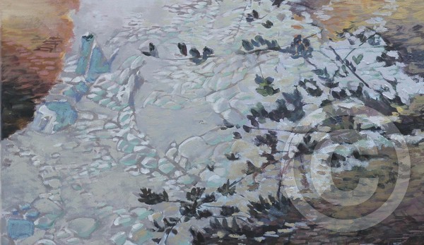 Tenno lake detail 1
