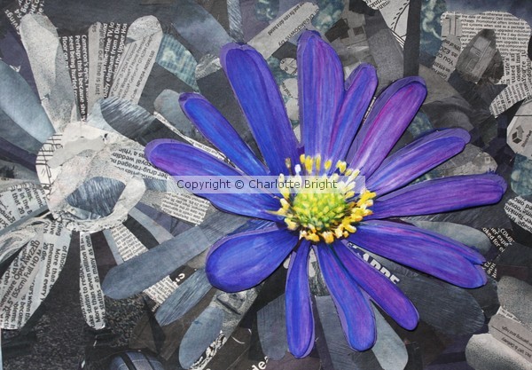 Purple Flower
