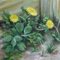 Yellow Dandies