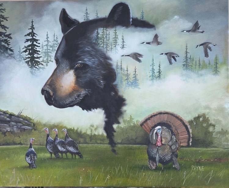 NC Mountain Dreaming 