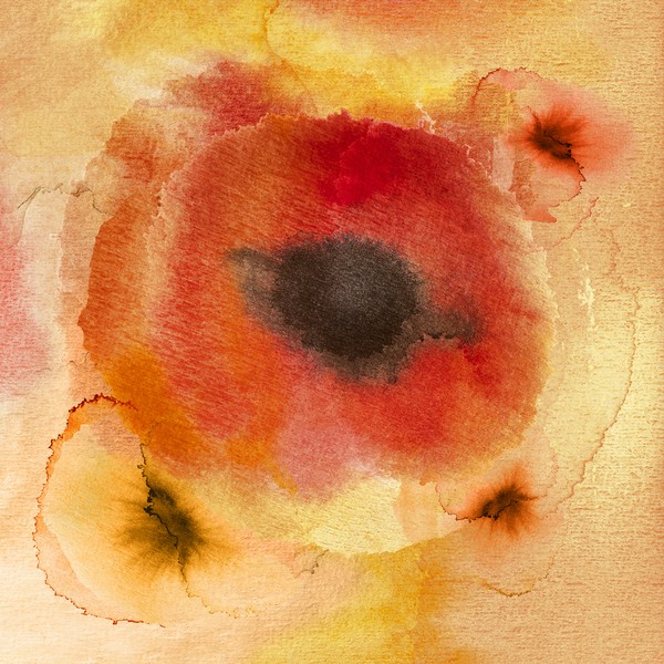 Flowers II