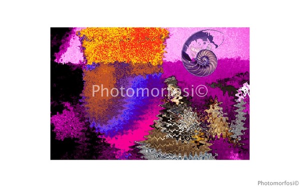 Photomorfosi©1994 - Serie Il calice-1