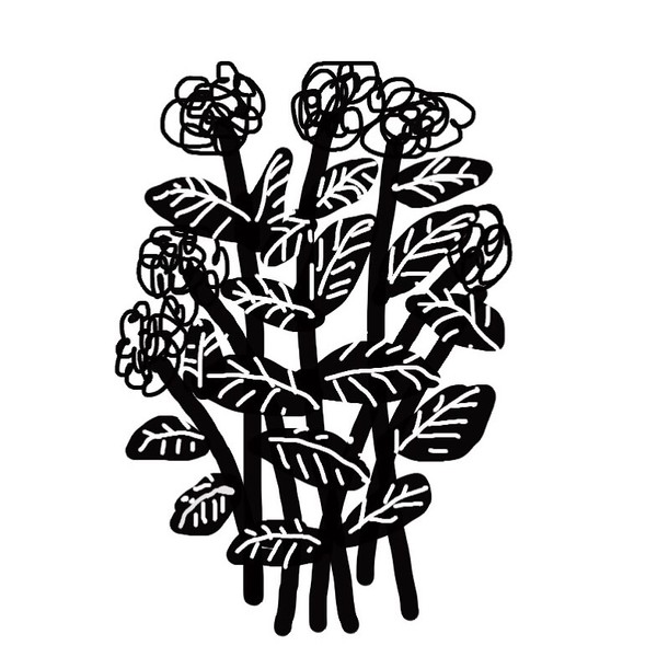 Black Flowers