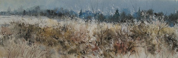 A Winter Field