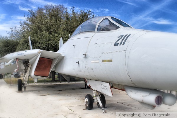 Fighter Jet