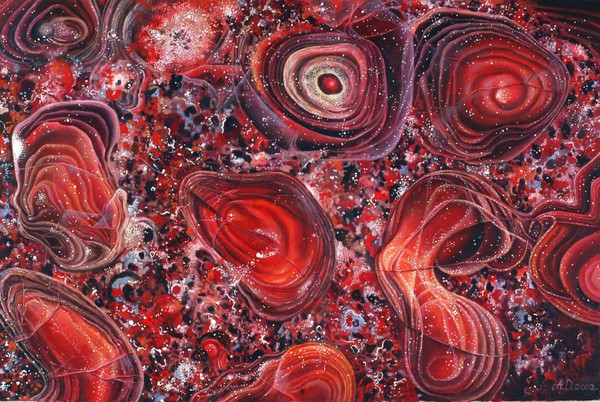 Stromatolites