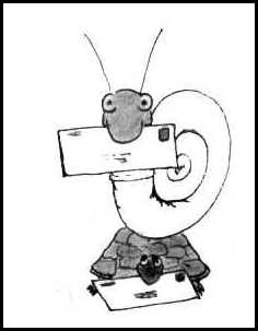 Snail mail