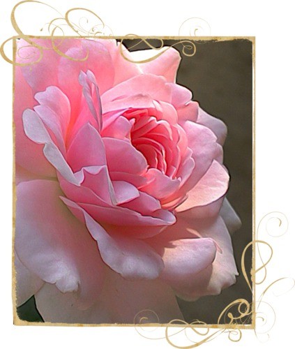 HAPPY BIRTHDAY DEAR MARIE.CLAIRE.