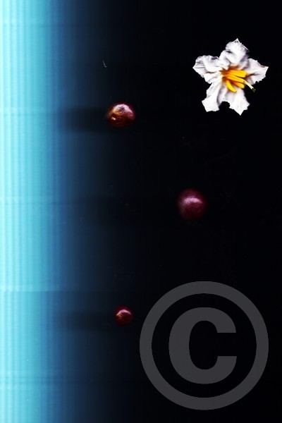 metafisico