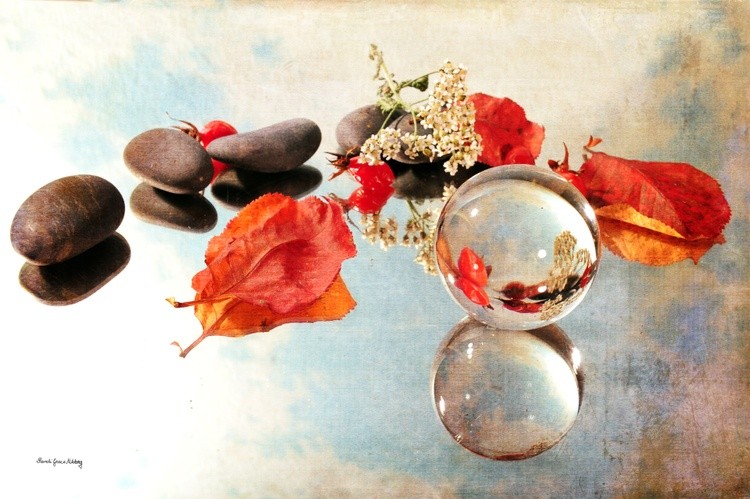 Seasons in a Bubble