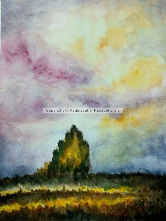Meadow Sunset