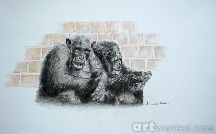 Chimps- Backs against the Wall