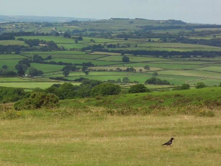 Cornwall