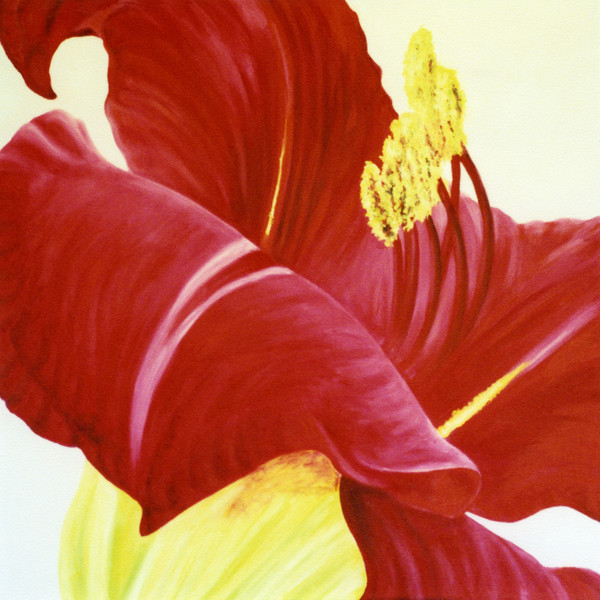 Lovely Lily