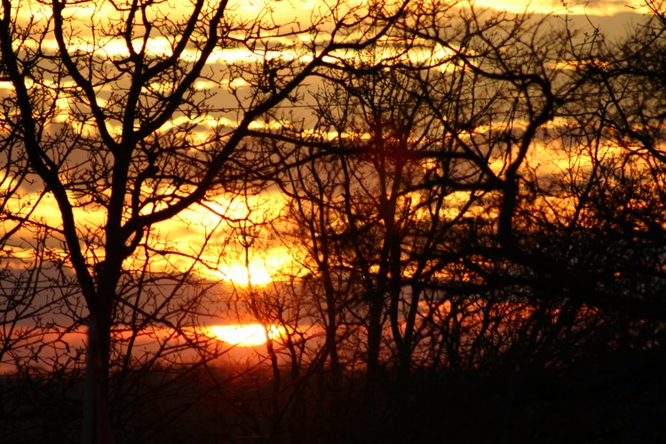 Bright Sunset