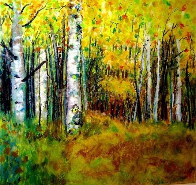 Birch Forest12