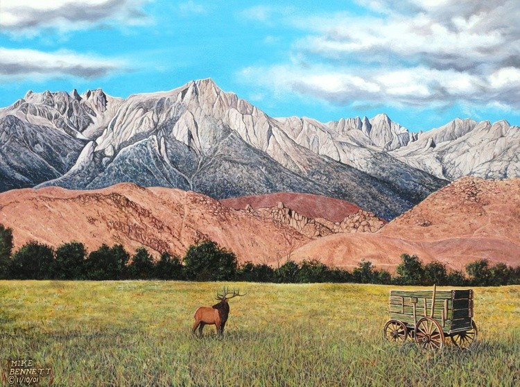 Elk near Mt Lone Pine