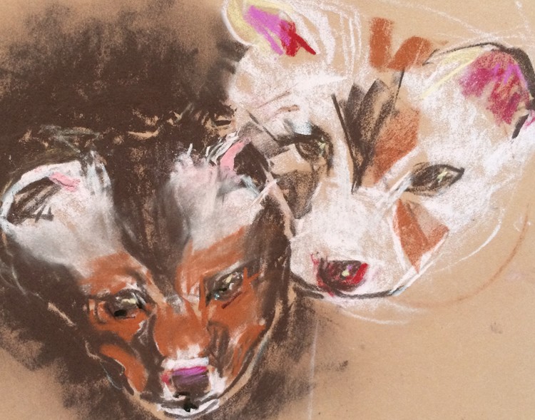 Coyote Pups Drawing