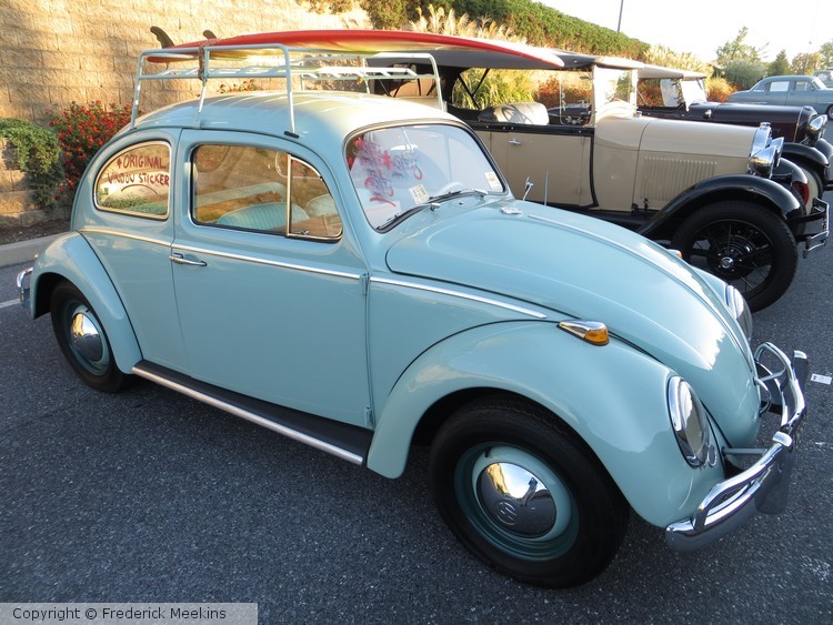 Blue Bettle