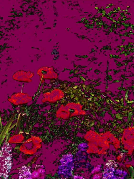 AW 1001717  FLOWERS COLOR PENCIL BUTCHART GARDENS