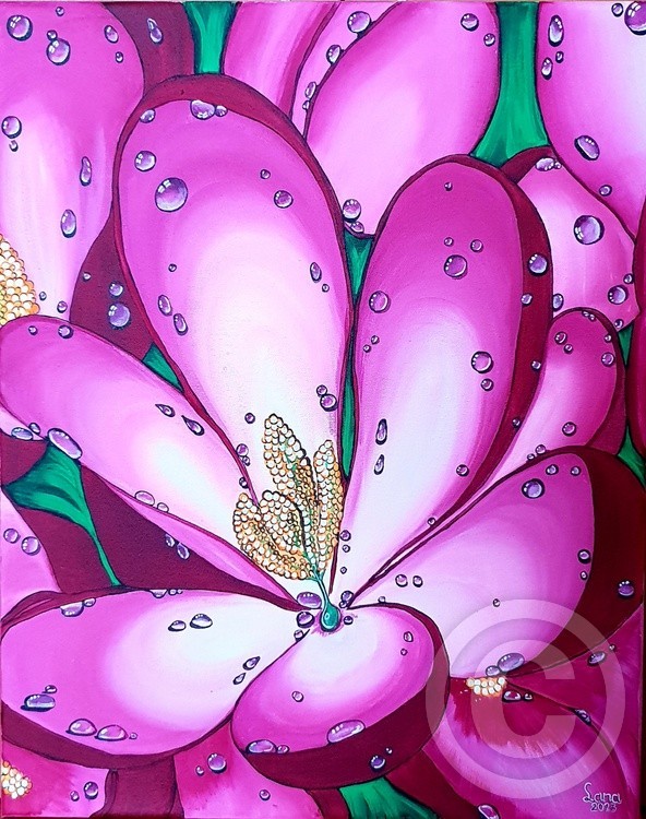 Pink Crocus