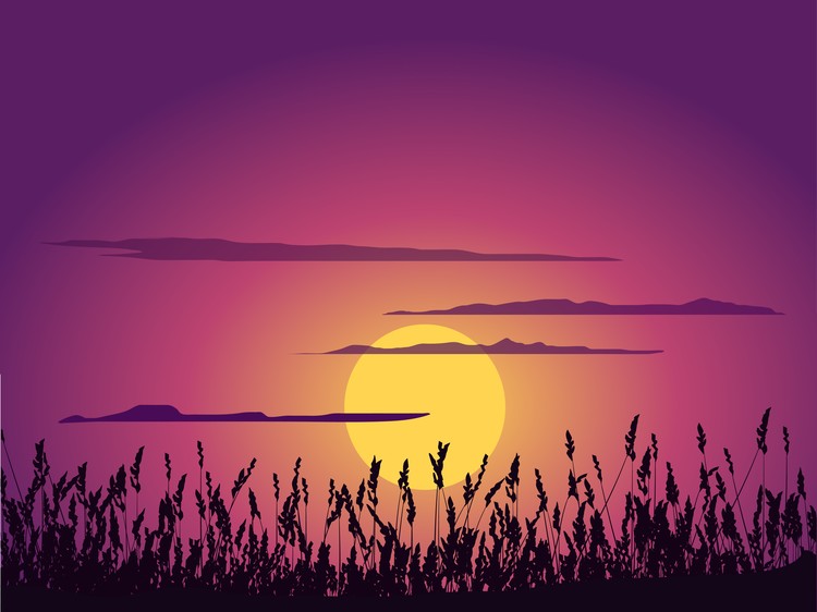 grass silhouette