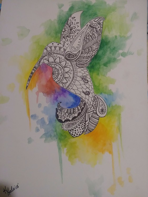 Colorful Flight