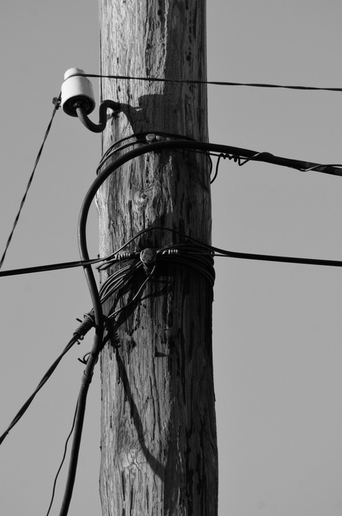 DSC 3905 00001