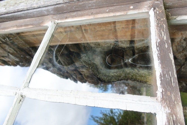 Shadow in window