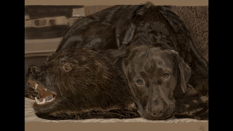 Bear on a Bear Rug