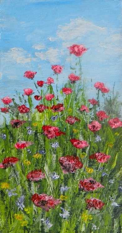 A poppy field with blooming red flowers