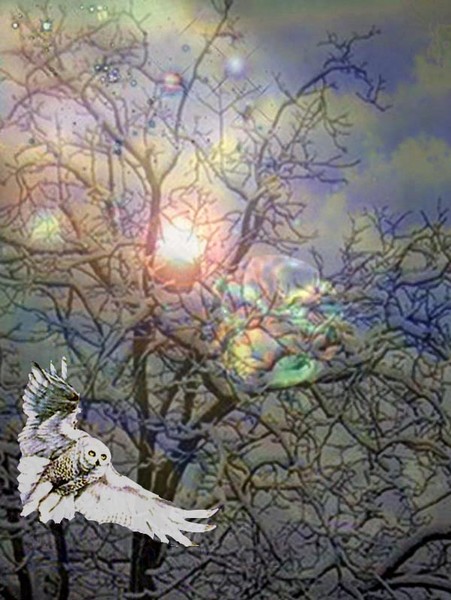Icy Darkness