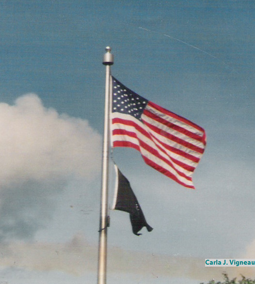 Our Grand Ole Flag
