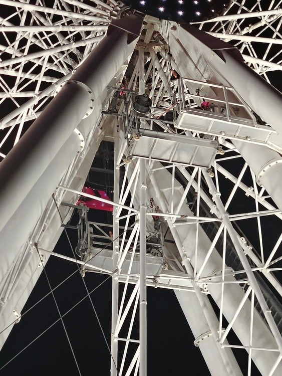 Ferriswheel Firsts no.1