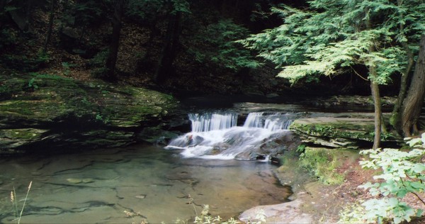 Wycoff Run Road Fall