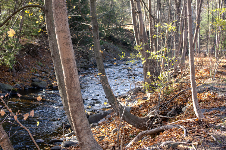 WaterWheel097