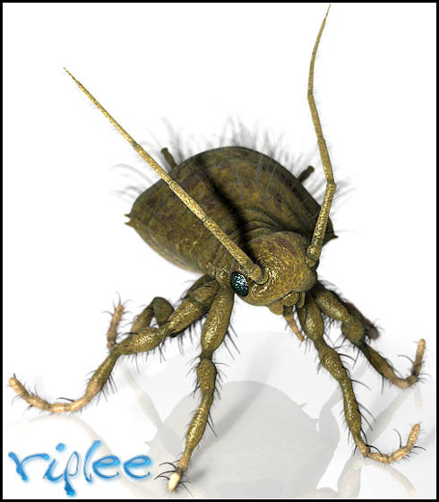 Ugly Critter