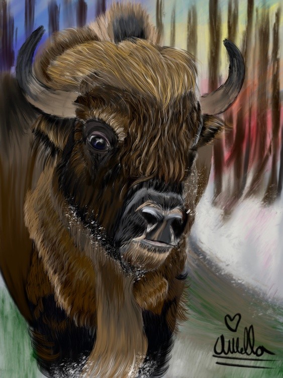 A Bison